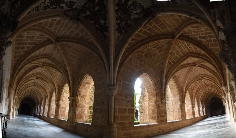 Untitled Panorama1