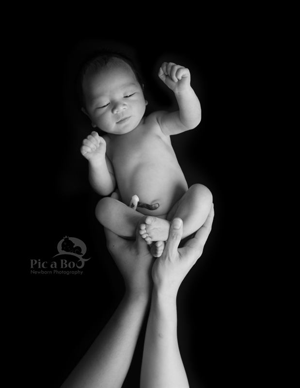 Baby Photography