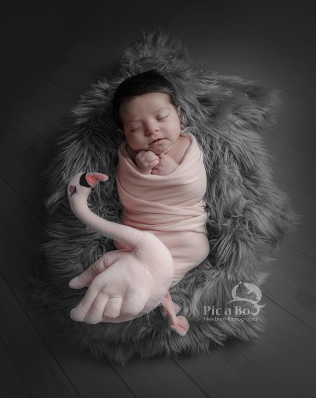 Baby Photography