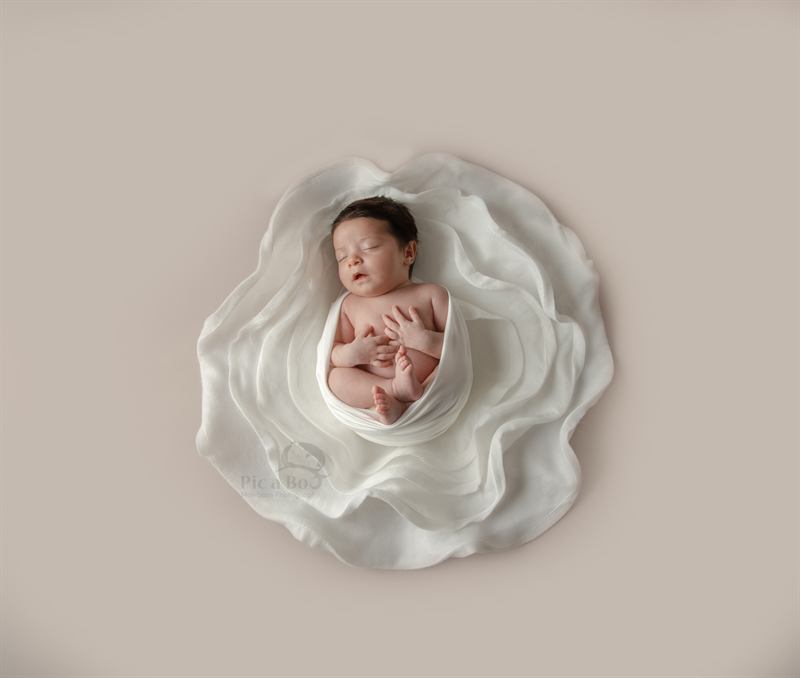 Baby Photography