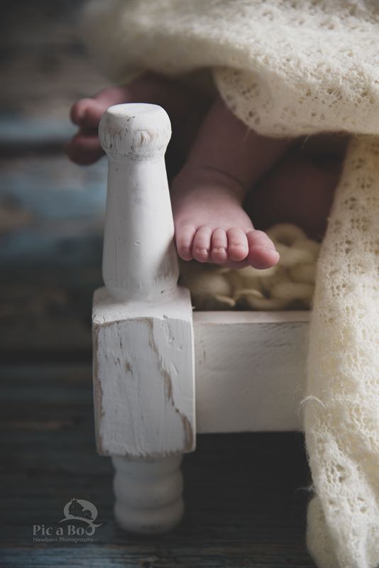 Baby Photography
