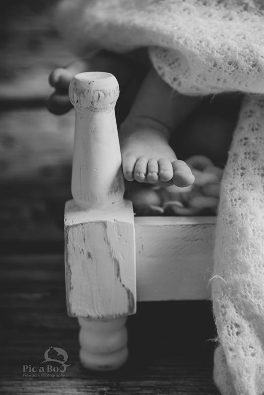 Baby Photography