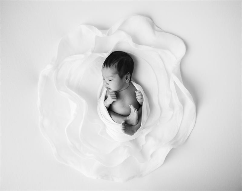 Baby Photography