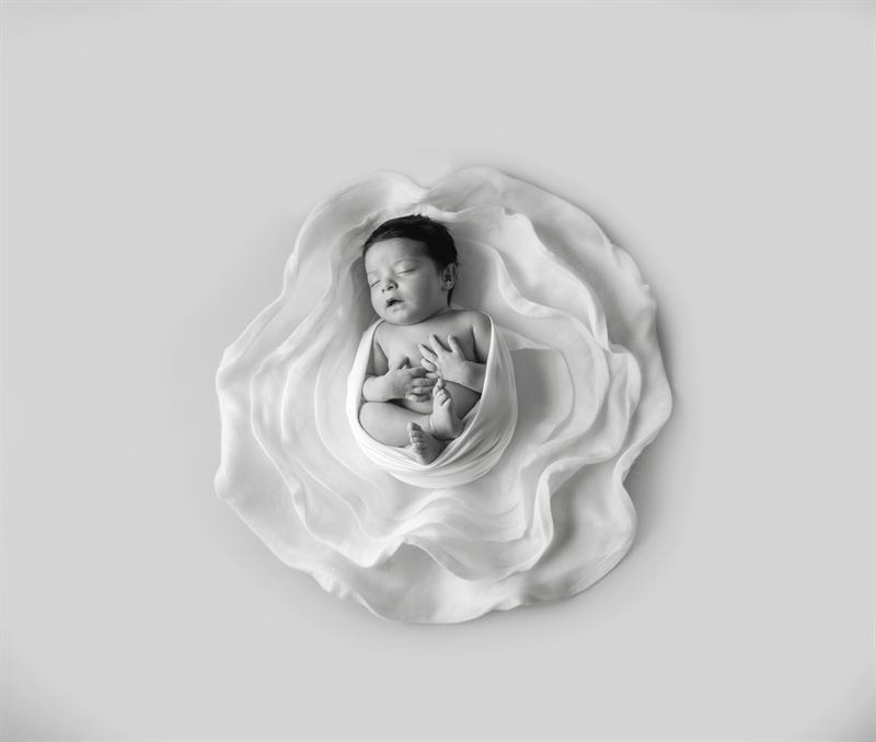 Baby Photography