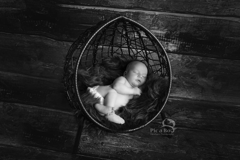 Baby Photography