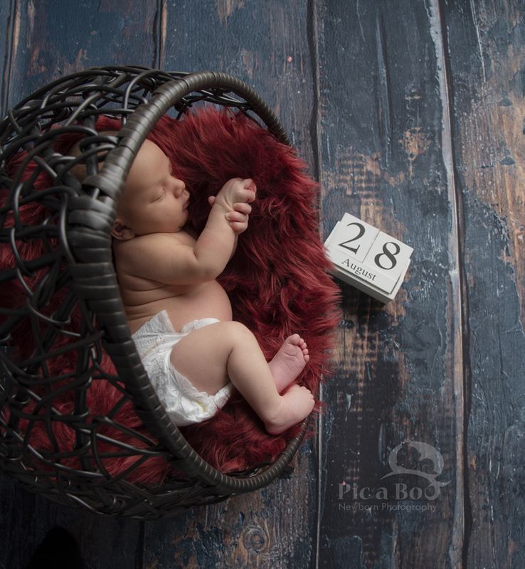 Baby Photography