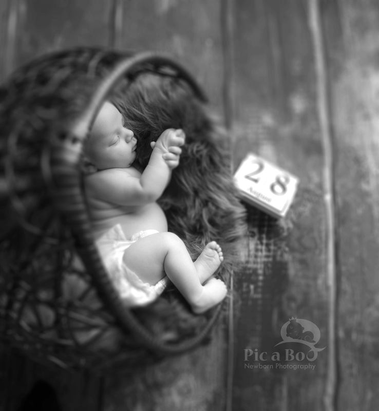 Baby Photography