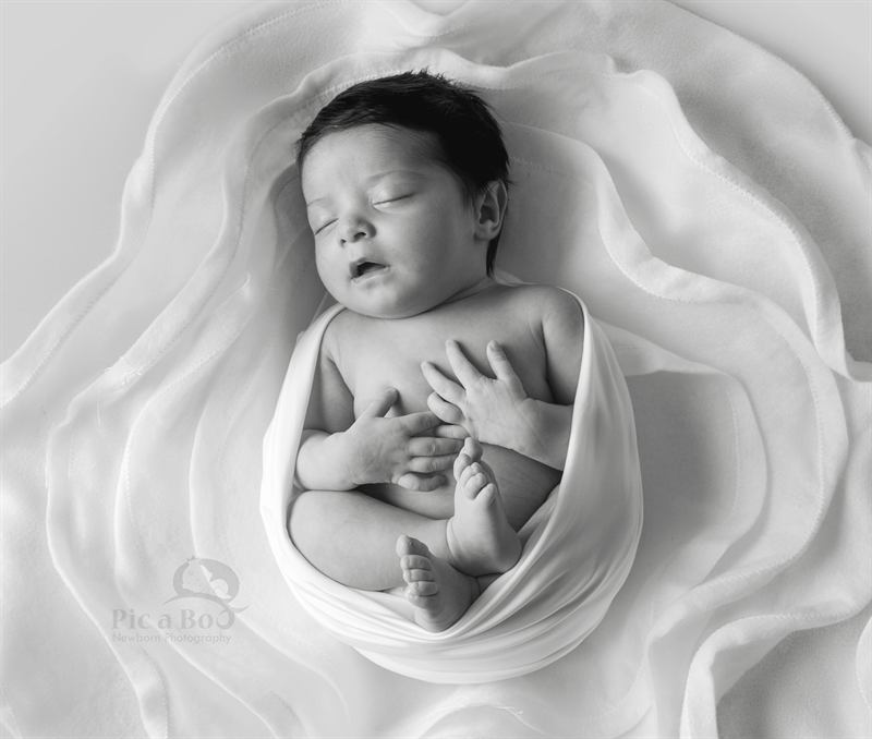 Baby Photography