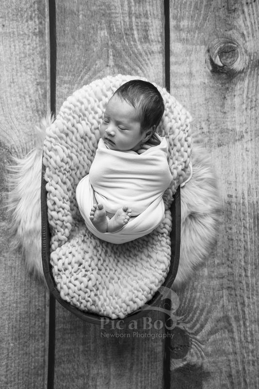 Baby Photography