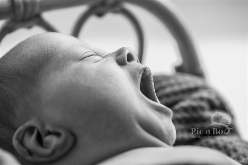 Baby Photography