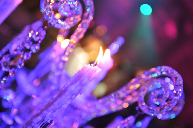 Wedding Party4